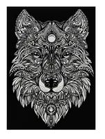TATARUGA Samtbild A4 S10 Wolf