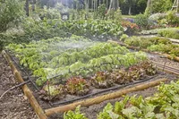 GARDENA Start-Set Tropfbewässerung für Gemüse Micro-Drip-System - Bewässerungsart: Komplett-Set - System Teil: Micro-Drip-System - Detailfarbe: Türkis - Grün - Weiss