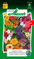 Samen Mauser Saatgut Urban Gardening Duftgarten für Balkon - Bio: Nein - Blütenfarbe: Mehrfarbig - Blütezeit: Juli - Oktober - August - September - Sonneneinstrahlung: Sonnig - Aussaatzeit: April - März - Mai - Juni - Saattyp: Urban Gardening