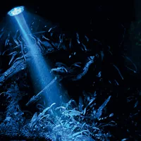 HOBBY Aquaristik Bubble Air Spot colour & moon LED AC Black