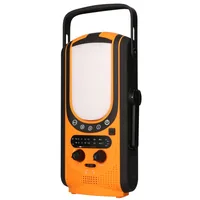Extralink EX.31254 radio Portatile Analogico e digitale Nero, Giallo