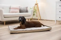 Kerbl Multifunktionsmatratze 72 x 50 x 5 cm - Produkttyp: Bett - Tierart: Hund - Detailfarbe: Braun - Breite: 72 cm - Länge: 50 cm