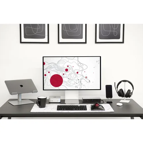 Kensington K72080WW mouse Ambidextrous