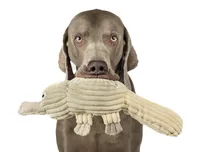 Nobby Plüsch Schnabeltier, 44 cm - Produkttyp: Plüsch-/Stofftier - Tierart: Hund