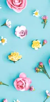 Paper + Design Taschentücher Spring 10 Stück - Packungsgrösse: 1 Stück - Anzahl Lagen: 4
