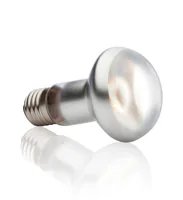 Exo Terra Terrarienlampe Intense Basking Spot E27, R20/75W - Lampensockel: E27 - Lichtfarbe: Warmweiss (WW) - Gesamtleistung: 75 W - Lampentyp: UV-Lampe - Wärmelampe - Benötigt Vorschaltgerät: Nein - UV-Strahlung: UVA