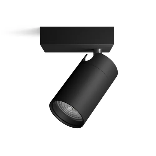 Philips Aufbauspot Idris GU10, IP44 Schwarz, ohne Leuchtmittel - Leuchten Kategorie: Spot - Betriebsart: Netzbetrieb - Lampensockel: GU10 - Farbtemperatur Kelvin: Je nach Leuchtmittel - Gesamtleistung: 5 W - Farbwiedergabeindex CRI: 0