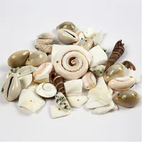 Creativ Company Perlen-Set 120 g Strandmuscheln - Packungsgrösse: 120 Stück - Durchmesser: 40 mm - 9 mm - Detailfarbe: Mehrfarbig - Perlenart: Perlenset