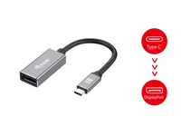 Equip Adapter USB-C->DisplayPort1.4 StBu 8K 30Hz 0.15m PVC