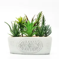 Dameco Kunstpflanze Sukkulenten «Welcome» 16 cm, mit Topf - Produkttyp: Topfpflanze - Detailfarbe: Weiss - Detailmaterial: Beton - Kunststoff - Grundmaterial: Kunststoff - Beton