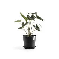 Ecopots Unterteller Rund 40, Dunkelgrau - Detailfarbe: Dunkelgrau - Material: Recycling-Kunststoff