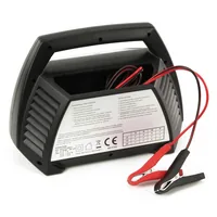 Ansmann ALCT6-24/10 Autobatterie Ladegerät