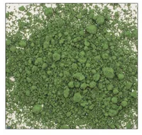 Glorex Farbpigmente 14 ml Grün - Zubehörart Basteln: Farbpigmente
