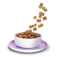 KITTY Cat Trockenfutter KittyCat Ente Sensible 800 g - Tierbedürfnis: Kein besonderes Bedürfnis - Geschmacksrichtung: Geflügel - Zertifikate: Keine Zertifizierung - Fleischsorte: Ente - Packungsgrösse: 0.8 kg - Futtereigenschaft: Getreidefrei - Ohne künst