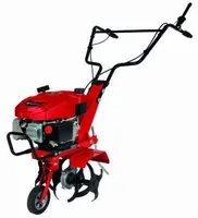 Benzin-Bodenhacke GC-MT 2236
