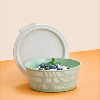 Koziol Schüssel Blomster mit Deckel 1.3 l, Grün - Unterteilungsmöglichkeit: Nein - Material: Biozirkulärer Kunststoff - Detailfarbe: Grün - Set: Nein - Form: Rund