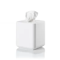 Zone Denmark Kosmetiktuchbox Ume Weiss 13 x 13 cm - Wandmontage: Nein - Befestigung: Mobil oder stationär - Utensilienhalter Typ: Papiertuchspender - Detailfarbe: Weiss - Detailmaterial: Kunststoff - Grundmaterial: Kunststoff