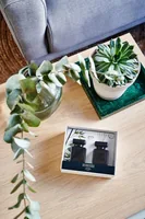 ipuro Duftstäbchen Black Bamboo 2 x 50 ml Set 100 ml - Duft: Apfel - Bernstein - Jasmin - Melone - Moschus - Zitrone - Volumen: 100 ml