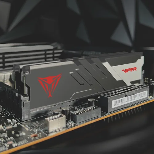 DIMM 16 GB DDR5-5600 (2x 8 GB) Dual-Kit (schwarz/weiß, PVV516G560C40K, Viper Venom, INTEL XMP)