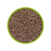 Hobby Aquaristik Aufzuchtsfutter Artemia Eier, 20 ml - Fischart: Zierfische - Futterart: Granulat - klein - Verwendung: Meerwasser - Süsswasser - Packungsgrösse: 20 ml - Produkttyp: Ergänzungsfutter