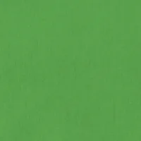 Hama 00021158 background screen Green Cotton