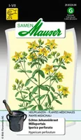 Samen Mauser 20832404 flower seeds/bulbs Hypericum