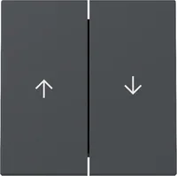 GIRA 329428 Wippe 2f Pfeil System 55 Anthrazit