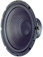 Visaton HiFi-Tieftöner W 300 - Impedanz: 8 ? - Lautsprecher Kategorie: Tieftöner - Durchmesser: 12  - Aktiv Lautsprecher: Nein - Nennleistung: 120 W - Montage: Einbau