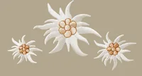 Mono-Quick Aufbügelbild Create Edelweiss 1 Stück - Breite: 7 cm - Länge: 3 cm - Motiv: Edelweiss - Anzahl Stück: 1 Stück