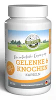 Bellfor 28458 pet medication
