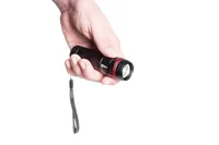 MAUL 8186890 flashlight Black