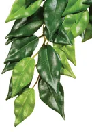 Exo Terra Regenwaldpflanze Fikus, S - Produkttyp Terraristik: Künstliche Pflanzen - Material: Kunststoff - Seide