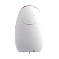 Medisana DS 600 facial sauna White