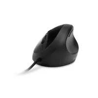 Kensington Pro Fit mouse