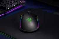 Razer Mamba Elite rechts Optisch USB 16000dpi Schwarz