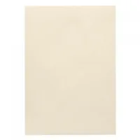 Artoz Bastelpapier 1001 A4 220 g/m² Ivory, 5 Blatt - Papierformat: A4 - Selbstklebend: Nein - Papierfarbe: Ivory - Papiertyp: Fotokarton - Mediengewicht: 220 g/m² - Verpackungseinheit: 5 Stück