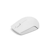 Lenovo 300 mouse Office Ambidextrous RF Wireless Optical 1000 DPI