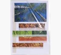 Exacompta 5610E sheet protector 210 x 297 mm (A4) Polypropylene (PP)