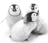 Paper + Design Papierservietten Penguin friends 33 cm x 33 cm, 20 Stück - Material: Papier - Grösse: 33 cm x 33 cm - Eigenschaften: Keine Eigenschaft - Anzahl Lagen: 3 - Motiv: Tiere - Produkttyp: Papierservietten