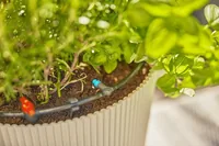 GARDENA Start-Set Tropfbewässerung für Terrassen Micro-Drip-System - Bewässerungsart: Komplett-Set - System Teil: Micro-Drip-System - Detailfarbe: Türkis - Gelb - Weiss