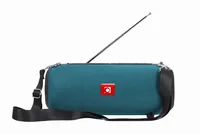 gembird Tragbare Bluetooth-Lautsprecher mit Antenne grün