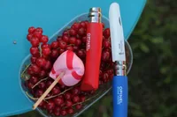 opinel Kindermesser N°07 Mon Premier Blau - Typ: Klappmesser - Schalenmaterial: Holz - Funktionen: Keine - Einhandklinge: Ja - Verriegelung: Arretierbare Klinge - Anzahl Funktionen: 1-10