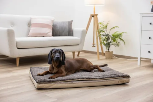 Kerbl Multifunktionsmatratze 72 x 50 x 5 cm - Produkttyp: Bett - Tierart: Hund - Detailfarbe: Braun - Breite: 72 cm - Länge: 50 cm