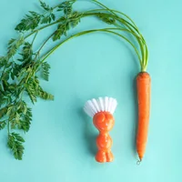 koziol 8629725 vegetable brush