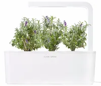 Click and Grow Saatgut Lavendel - Aussaatzeit: April - August - Dezember - Februar - Januar - Juli - Juni - Mai - März - November - Oktober - September - Blütezeit: April - August - Dezember - Februar - Januar - Juli - Juni - Mai - März - November - Oktob