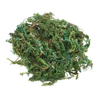 HobbyFun Mini-Utensilien Moss 20g, Hellgrün - Detailfarbe: Hellgrün - Material: Naturmoos - Verpackungseinheit: 1 Stück - Motiv: Mooszweig - Anlass: Basteln