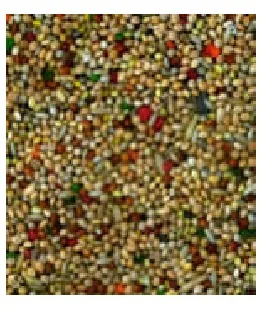 Eric Schweizer Ziervogelfutter Qualitätsmischung Wellensittich, 1 kg - Packungsgrösse: 1 kg - Saison: Alljahresfutter - Tierart: Ziervogel - Produkttyp: Hauptfutter