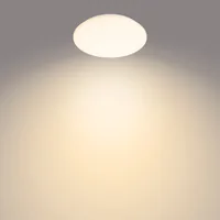 Philips Functional Moire Ceiling Light 10 W