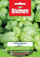 Blumen Samen Basilikum Italiano Classico - Aussaatzeit: April - Februar - März - Sonneneinstrahlung: Sonnig - Saattyp: Saatgut - Urban Gardening - Gemüsegruppen: Kräuter - Erntezeit: August - Juli - Juni - Mai - Oktober - September - Bio Zertifizierung: O