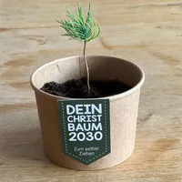 Wunderle Geschenkbox Weihnachtsbaum - Anlass: Weihnachten - Empfänger Geschenke: Für Frauen - Für Männer - Produkttyp Geschenke: Geschenkbox